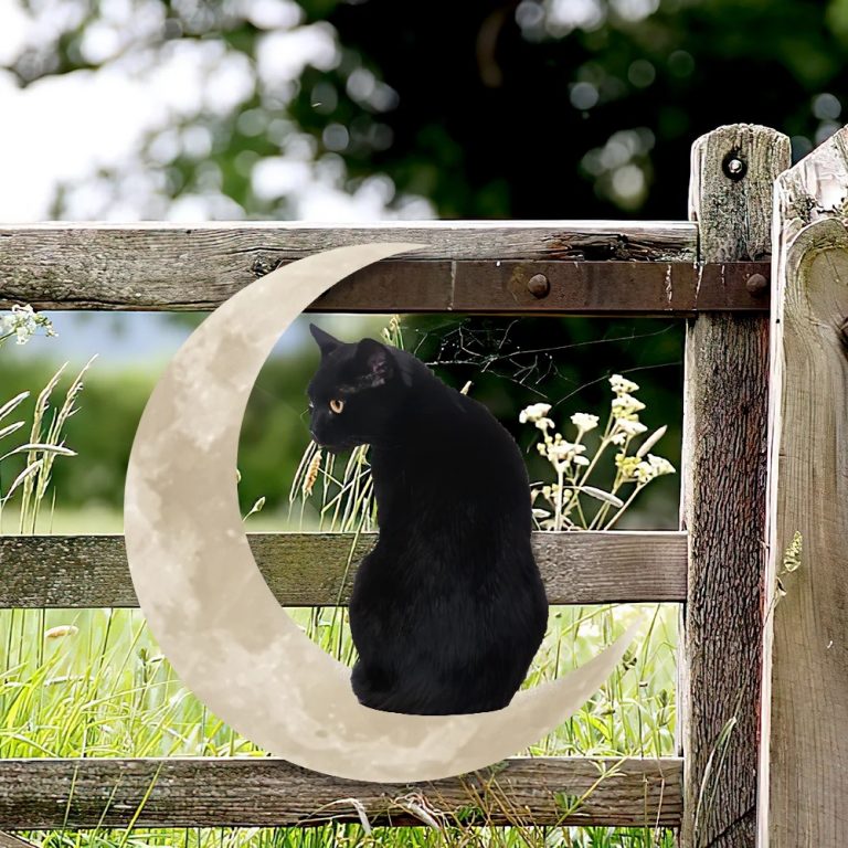 Black Cat Moon Hanging Metal Sign 13