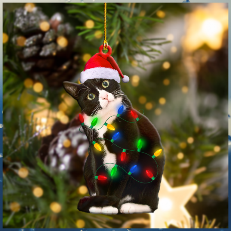 Black and White Santa Cat Christmas hanging ornament 8