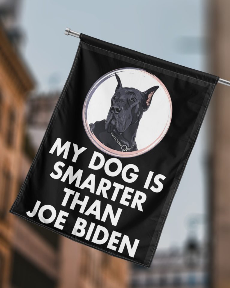 Great Dane my dog is smarter than Joe Biden flag 10