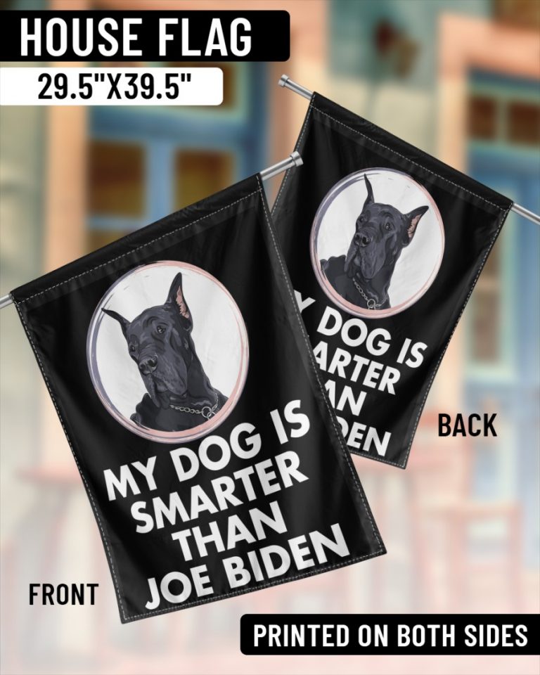 Great Dane my dog is smarter than Joe Biden flag 13