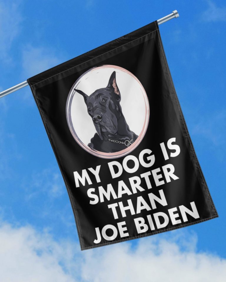 Great Dane my dog is smarter than Joe Biden flag 12