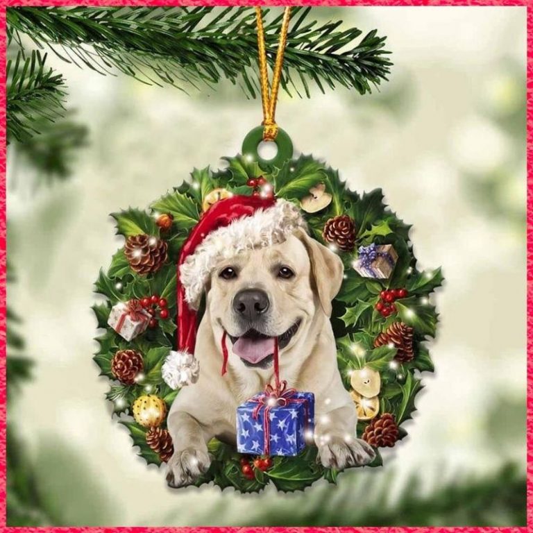 Labrador Retriever and Christmas gift ornament 9