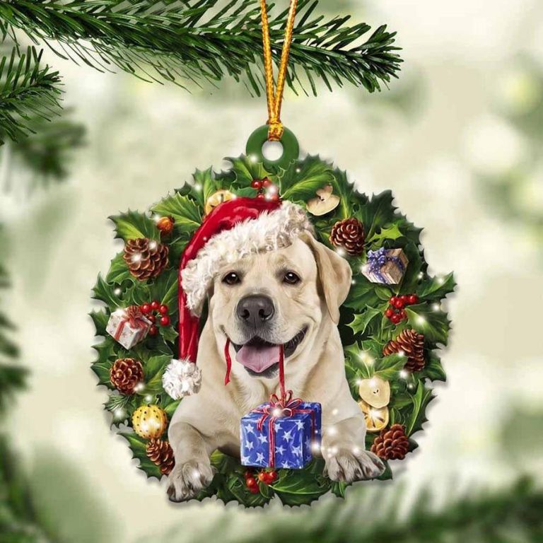 Labrador Retriever and Christmas gift ornament 8