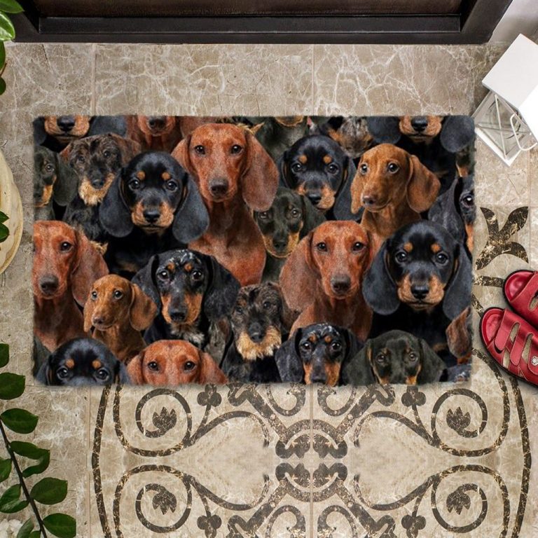 A Bunch Of Dachshunds Doormat 6