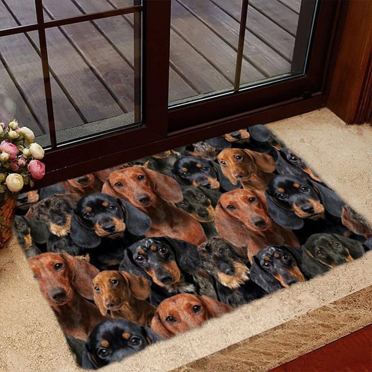 A Bunch Of Dachshunds Doormat 7