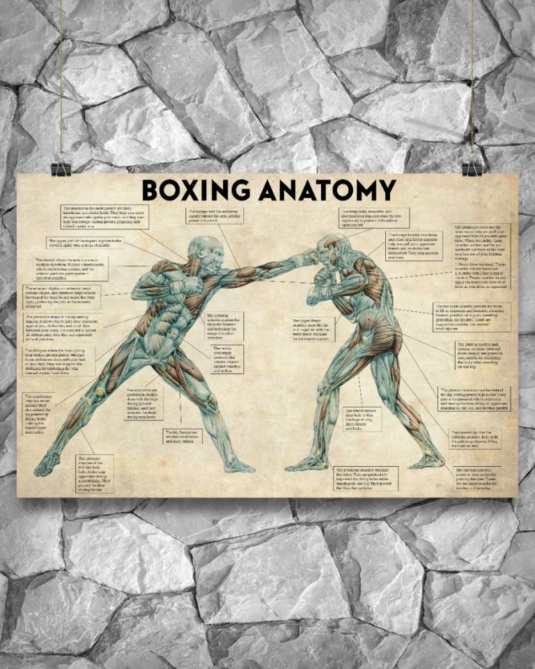 Boxing Anatomy Horizontal Poster 10