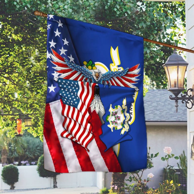 Connecticut American Eagle Flag 12