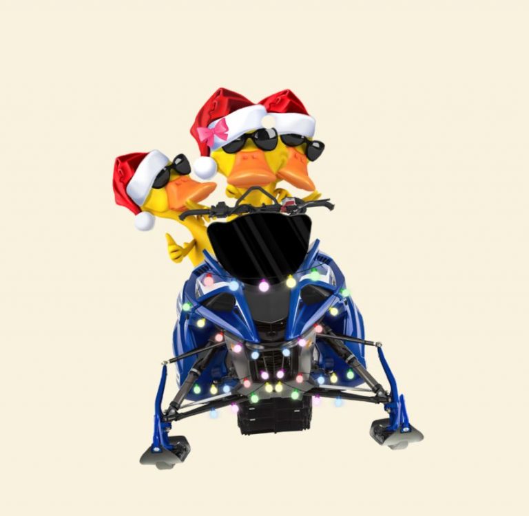 Snowmobile Ducks custom Christmas ornament 16