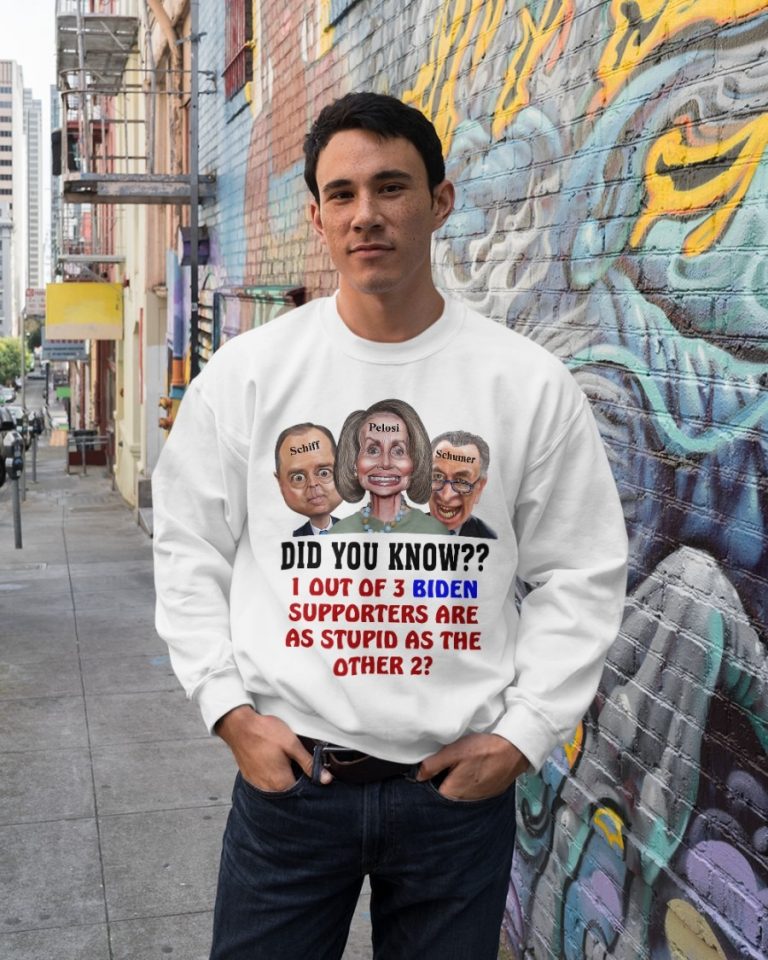 Schiff Pelosi Schumer did you know 1 out of 3 Biden supporters are as stupid as the other 2 shirt, hoodie 19