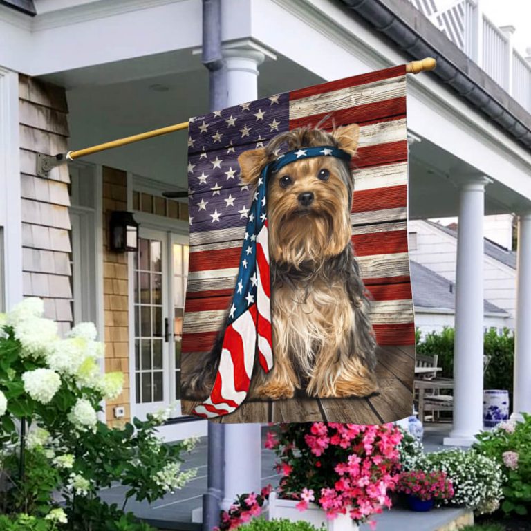 Yorkshire Terrier American flag 17