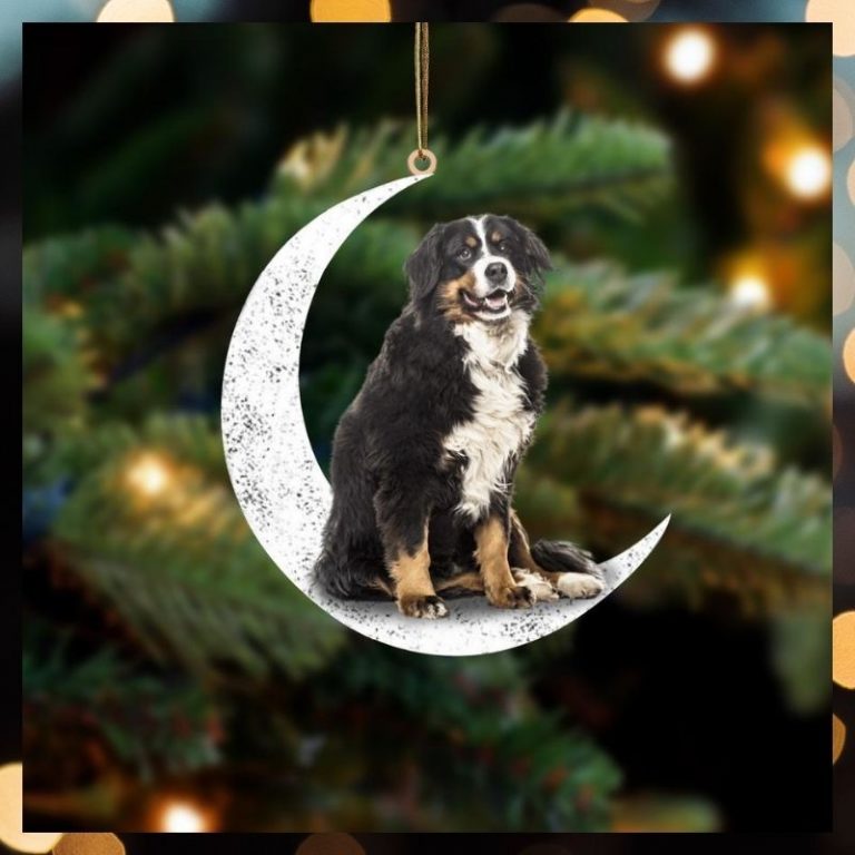 NEW Bernese Mountain Sit On The Moon ornament 9