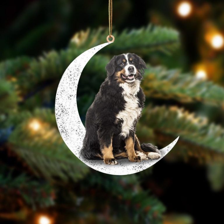 NEW Bernese Mountain Sit On The Moon ornament 8
