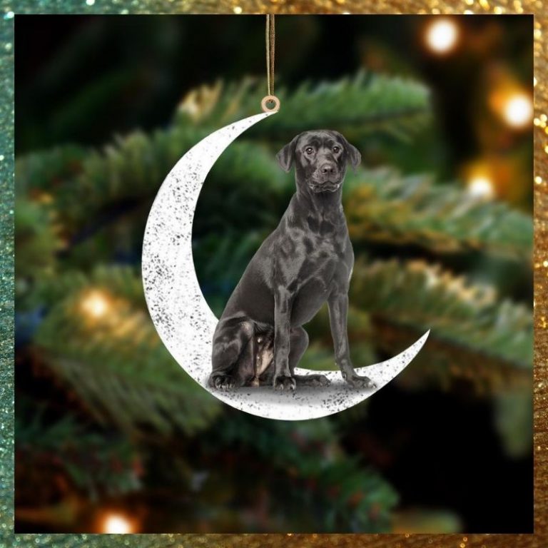 BEST Black Labrador Sit On The Moon ornament 9