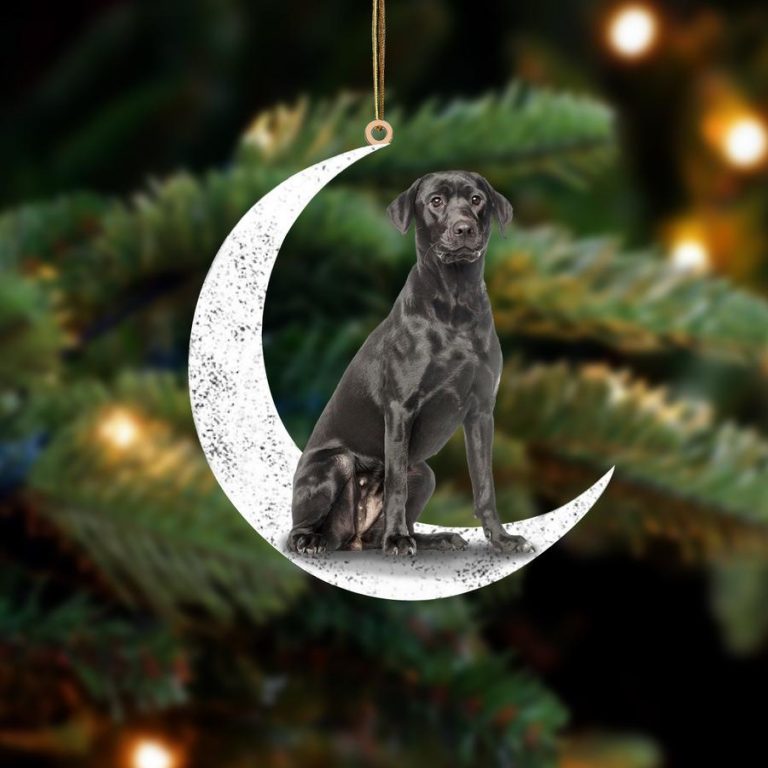BEST Black Labrador Sit On The Moon ornament 8