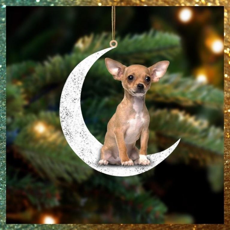 HOT Chihuahua Sit On The Moon ornament 9