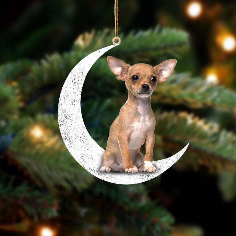 HOT Chihuahua Sit On The Moon ornament 8