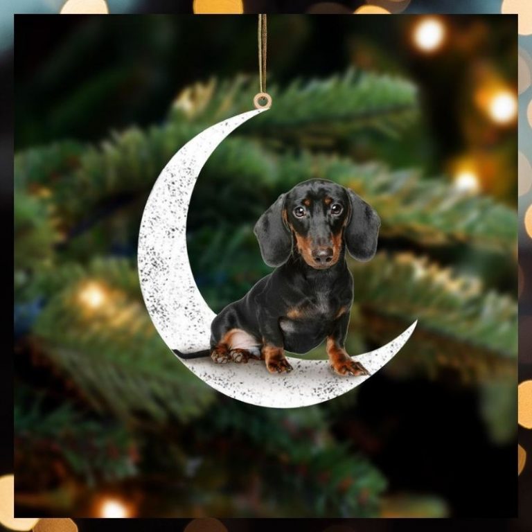 NEW Dachshund Sit On The Moon ornament 9