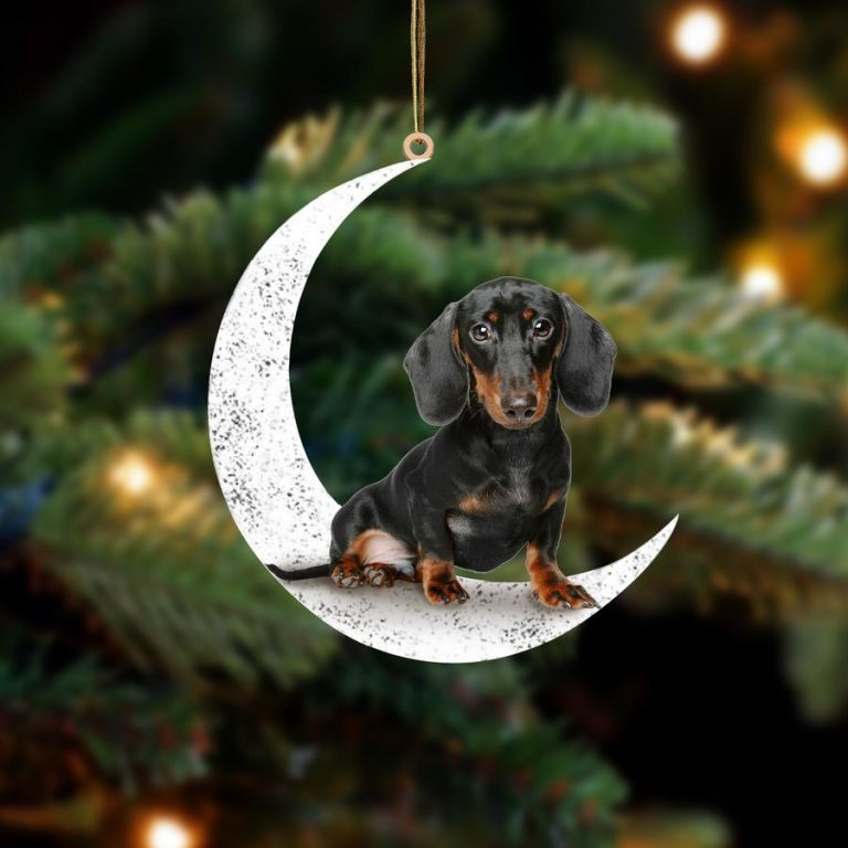 NEW Dachshund Sit On The Moon ornament 8