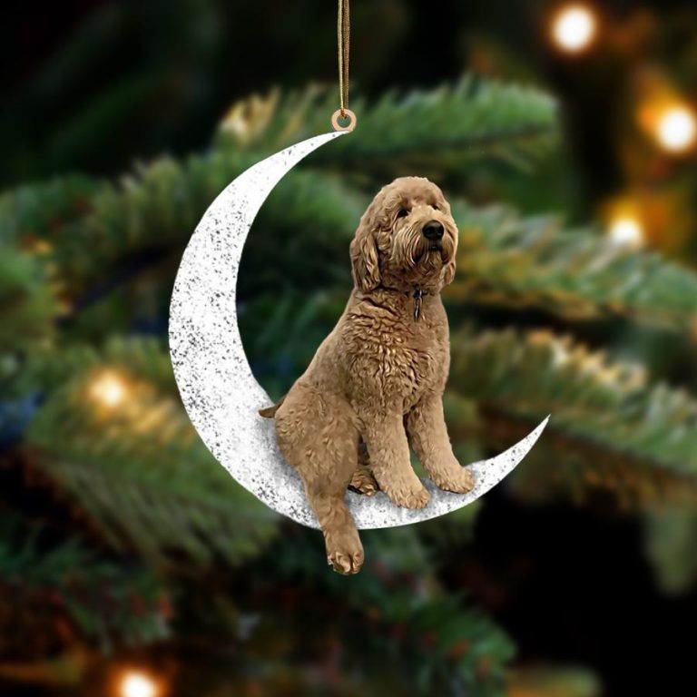 NEW Goldendoodle Sit On The Moon ornament 8