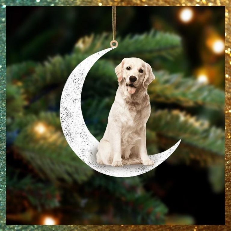 NEW Labrador Sit On The Moon ornament 9