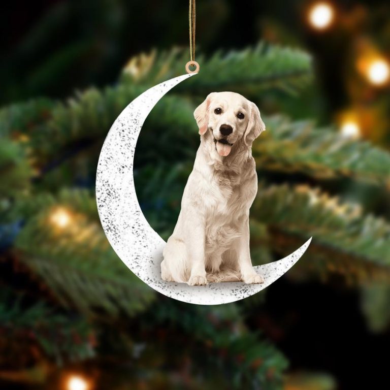 NEW Labrador Sit On The Moon ornament 8