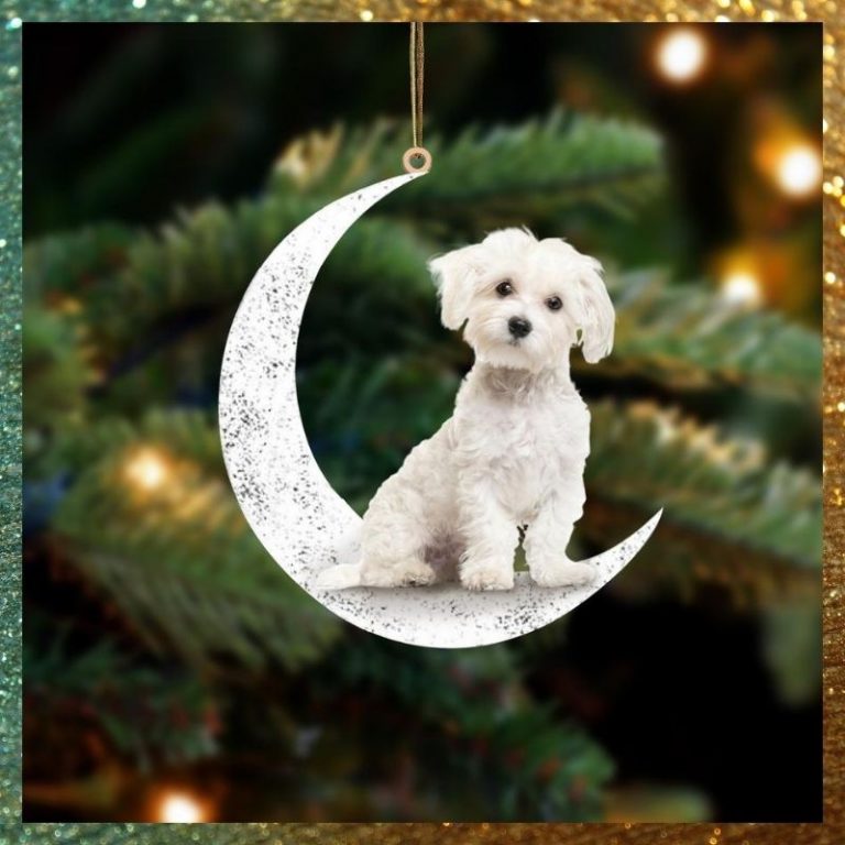 LIMITED Maltese Sit On The Moon ornament 9