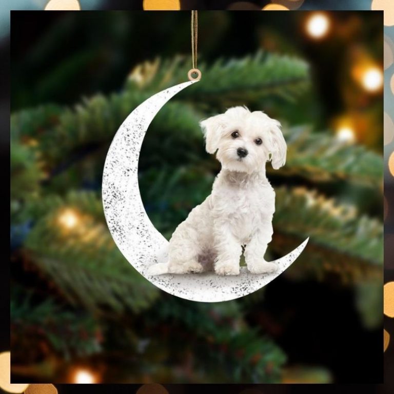 LIMITED Maltese Sit On The Moon ornament 8