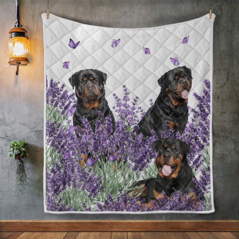BEST Rottweiler lavender Quilt 12