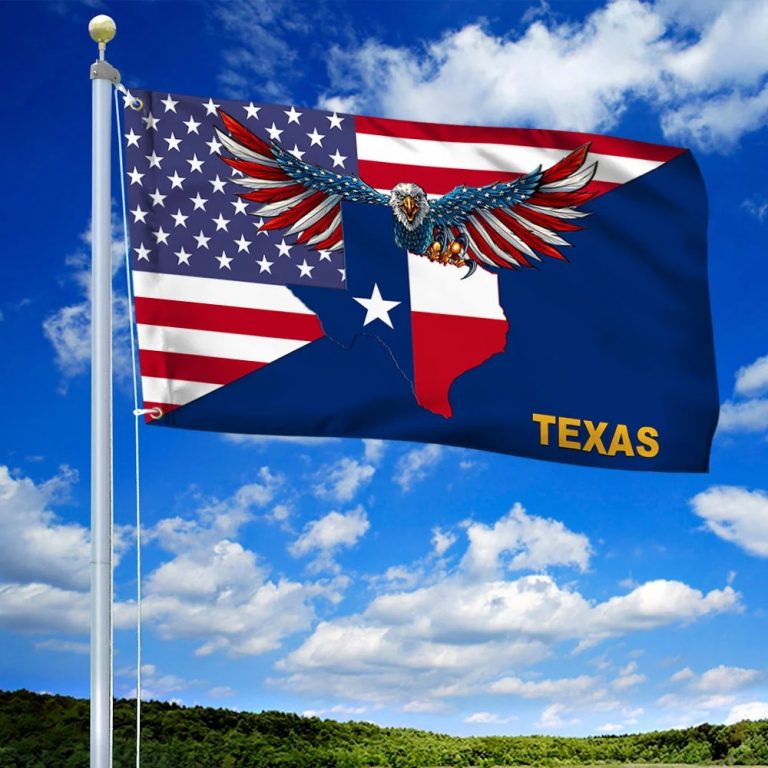 HOT Eagle Texas American flag 10