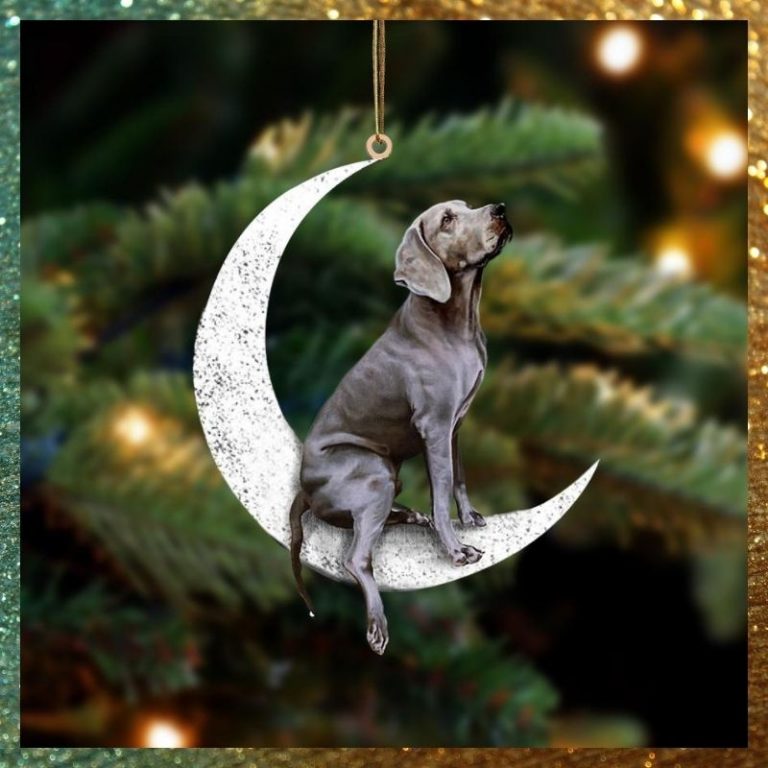 LIMITED Weimaraner Sit On The Moon ornament 9