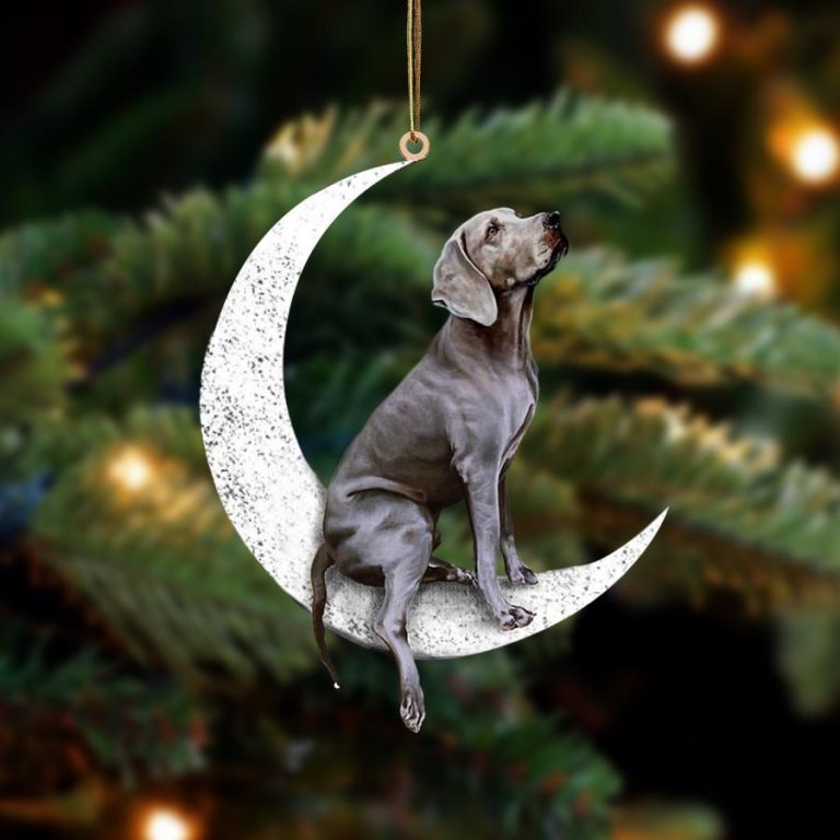 LIMITED Weimaraner Sit On The Moon ornament 8
