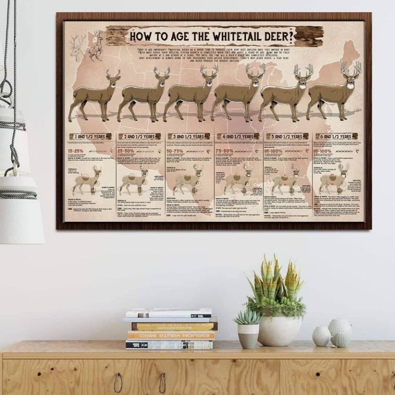 HOW-TO-AGE-THE-WHITETAIL-DEER-Canvas-1