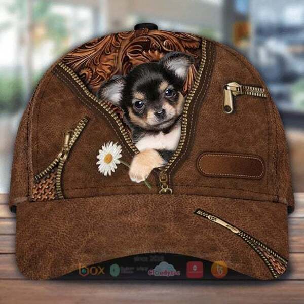 Chihuahua_Baby_Holding_Daisy_Cap_Hat