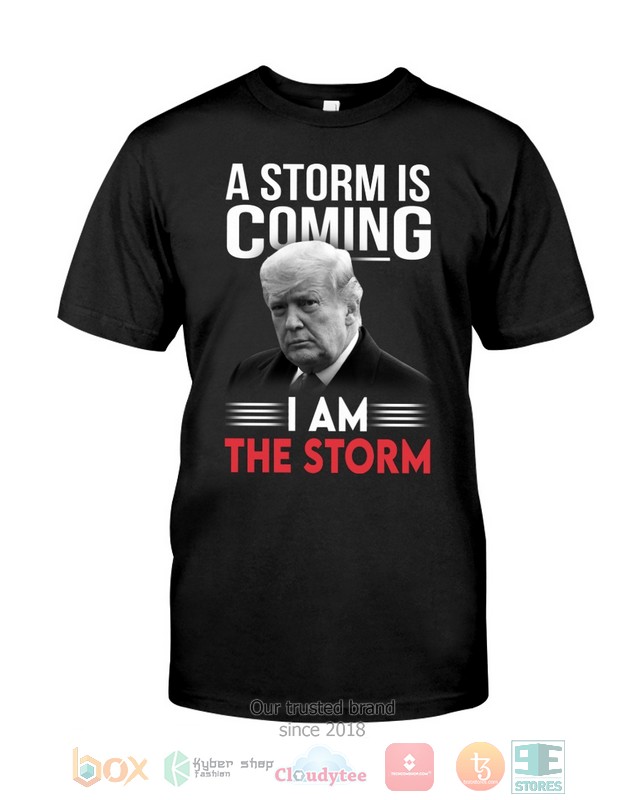 Donald_Trump_A_storm_is_coming_I_am_the_storm_2d_shirt_hoodie