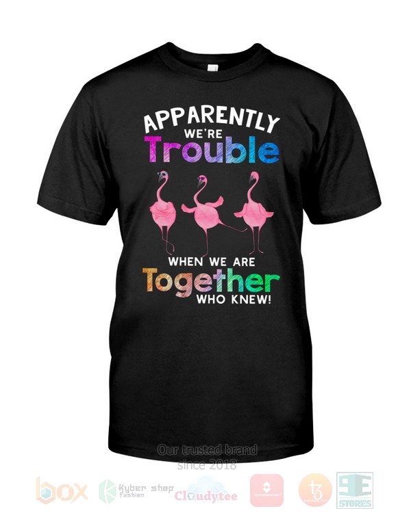 Flamingo_Apparently_Were_Trouble_When_We_Are_To_Gether_Who_Knew_Hoodie_Shirt