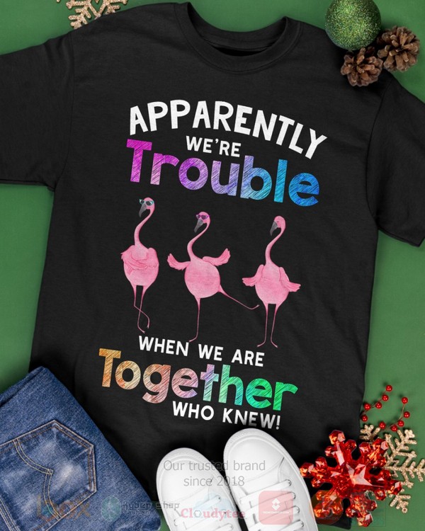 Flamingo_Apparently_Were_Trouble_When_We_Are_To_Gether_Who_Knew_Hoodie_Shirt_1