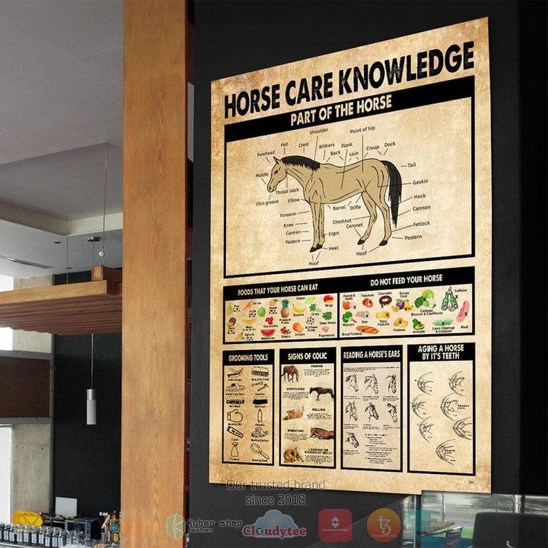 Horse_Care_Knowledge_Parts_Of_The_Horse_Poster_1