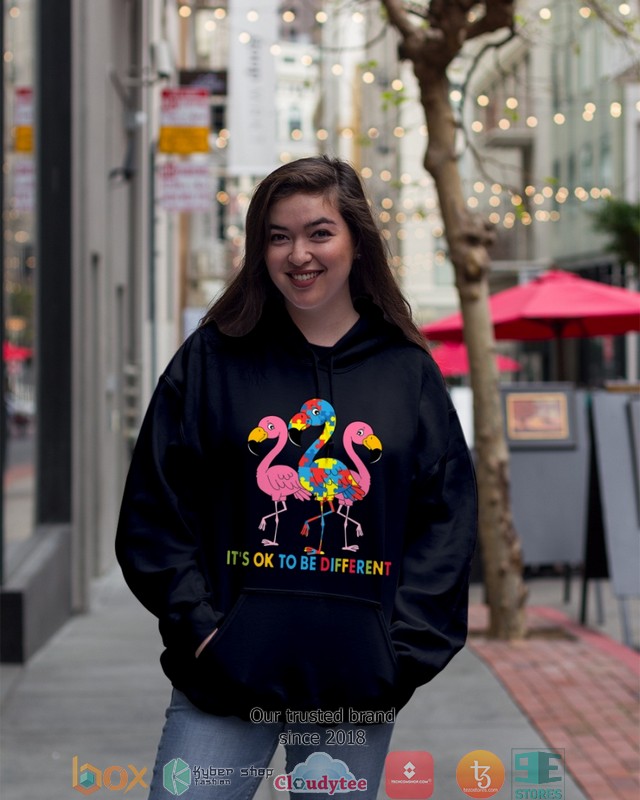Autism_Awareness_ItS_Ok_To_Be_Different_Shirt_Hoodie_1