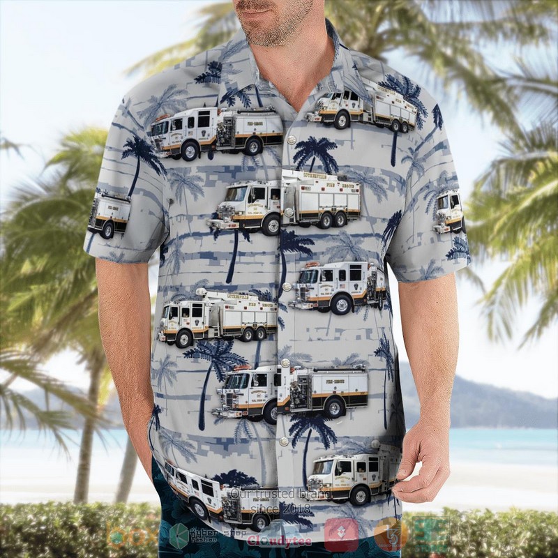 Some cool 3d hawaii shirt for this summer