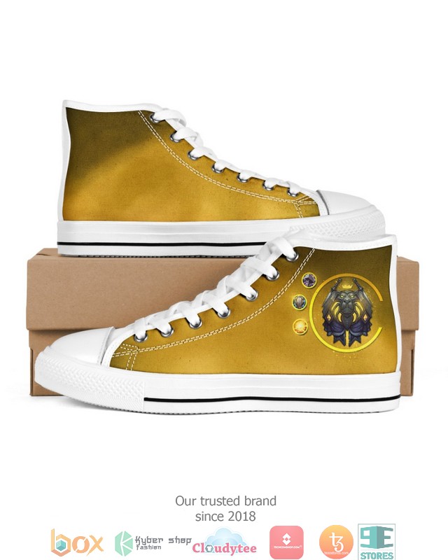 WoW_20_Class_Paladin_Mens_High_Top_canvas_shoes
