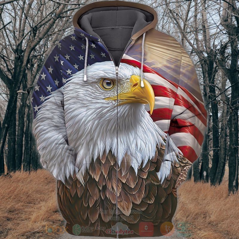 American_Flag_and_Eagle_3D_Zip_Hoodie