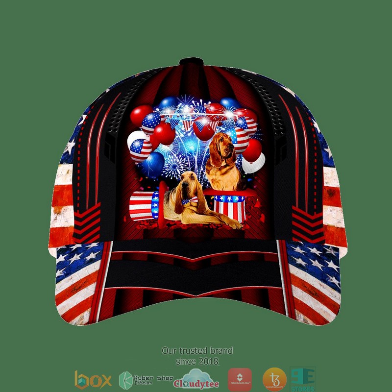 Bloodhound_Patriot_Us_Flag_Balloon_Cap_1