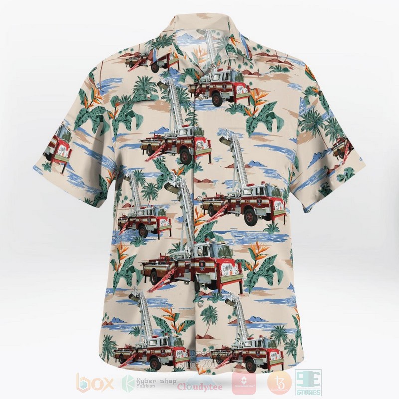 Box_1971_Hawaiian_Shirt_1