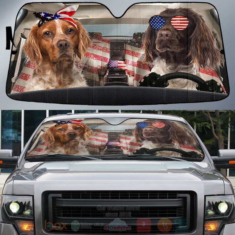 Brittany_American_Flag_Independence_Day_Car_Sun_Shade