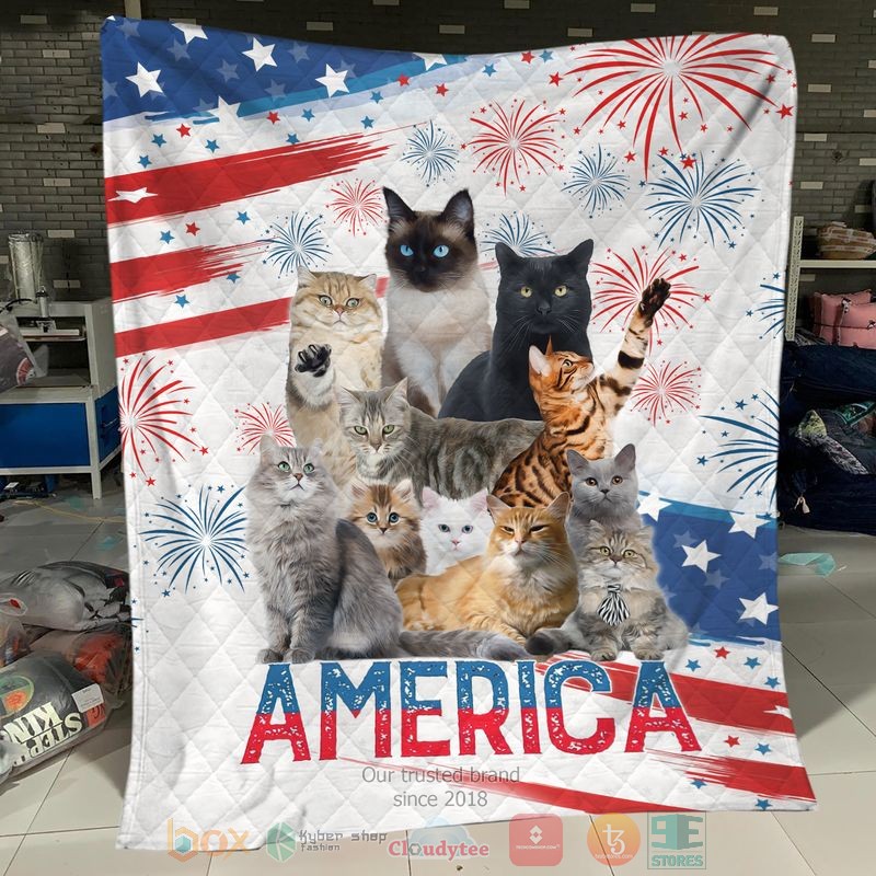 Cat_America_Independence_Day_Quit