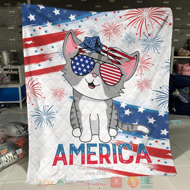 Cat_Kitten_America_Independence_Day_Quit