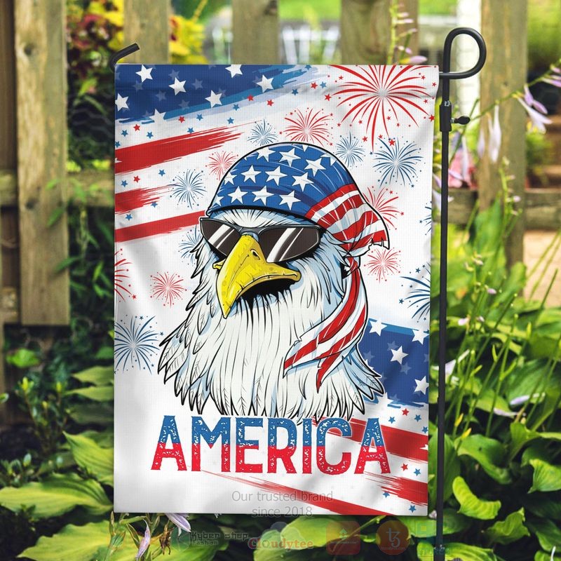 Eagle_America_Independence_Day_Firework_Flag