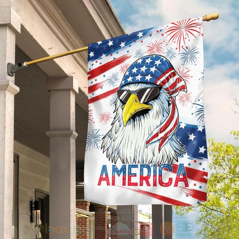 Eagle_America_Independence_Day_Firework_Flag_1