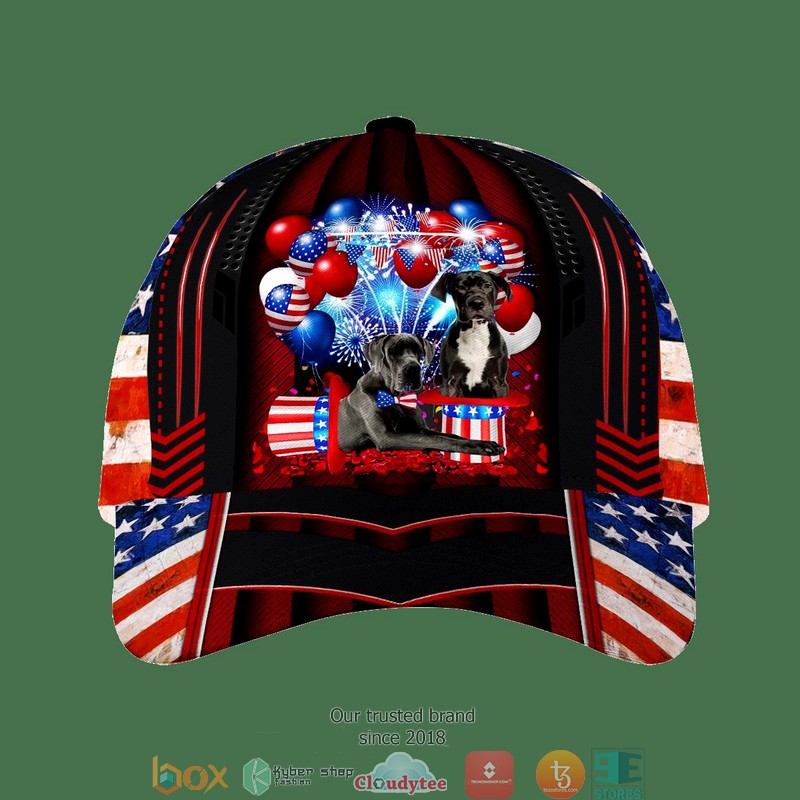 Great_Dane_Patriot_Us_Flag_Balloon_Cap_1