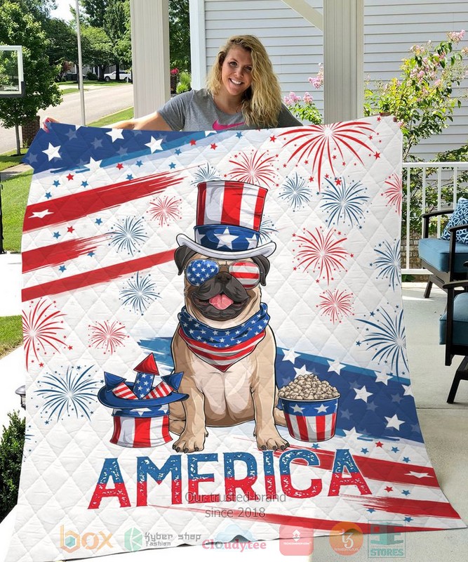 Pug_America_Independence_Day_Quit_1